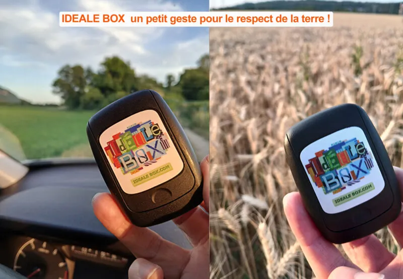 Mégots jetés par la fenêtre : un danger pour les forêts et la sécurité de tous