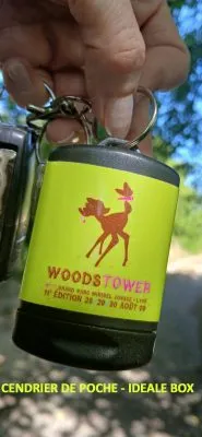 Protégeons nos forêts avec IDEALE BOX : innover aujourd’hui pour préparer demain